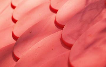 Caunton plastic roof costs